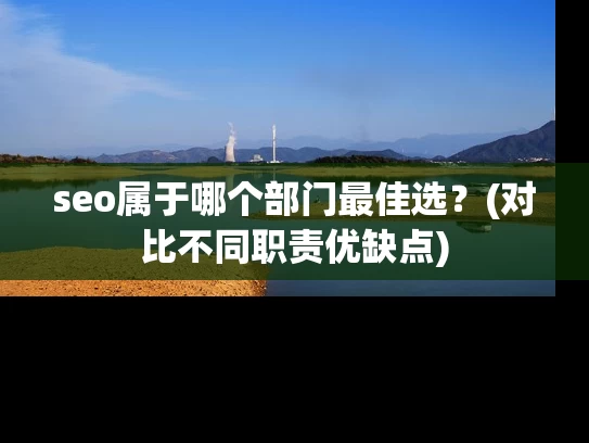 seo属于哪个部门最佳选？(对比不同职责优缺点)