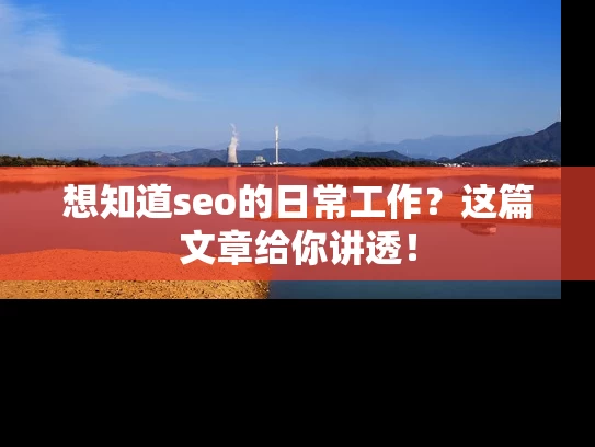 想知道seo的日常工作？这篇文章给你讲透！
