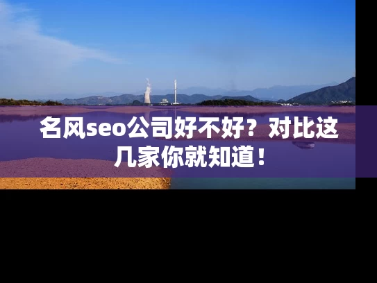 名风seo公司好不好？对比这几家你就知道！