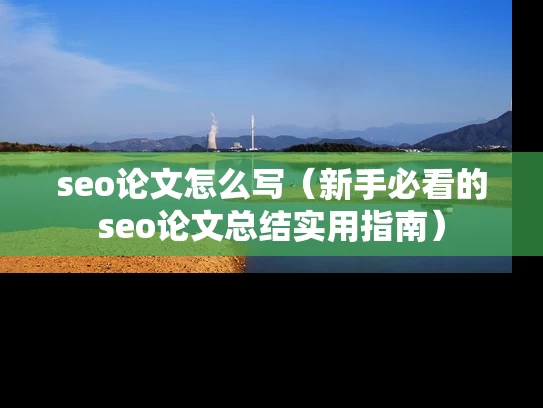 seo论文怎么写（新手必看的seo论文总结实用指南）