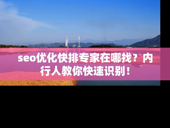 seo优化快排专家在哪找？内行人教你快速识别！