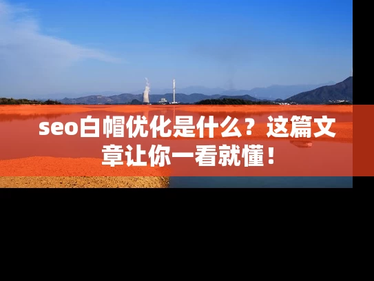seo白帽优化是什么？这篇文章让你一看就懂！