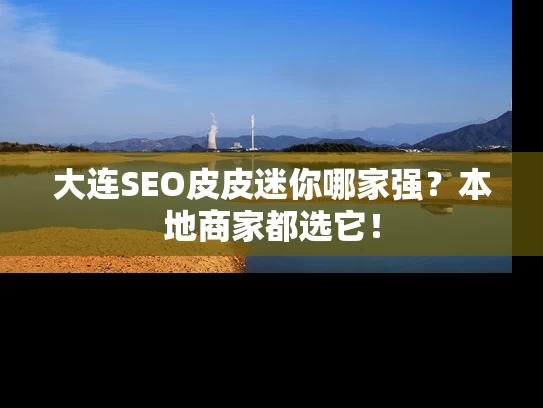 大连SEO皮皮迷你哪家强？本地商家都选它！