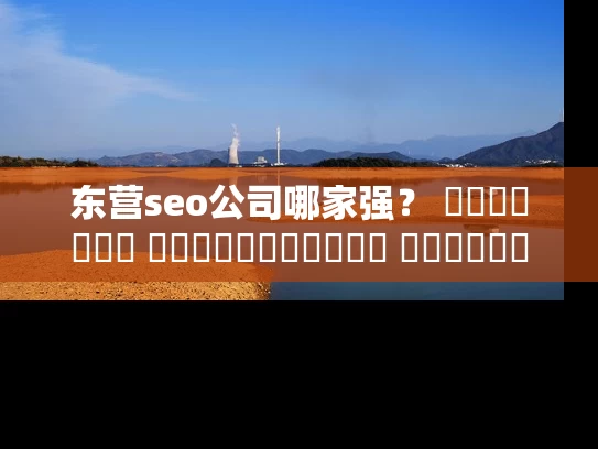 东营seo公司哪家强？ স্থানীয় ಕಂಪನಿಗಳನ್ನು ಹೋಲಿಸಿ ನೋಡಿ!