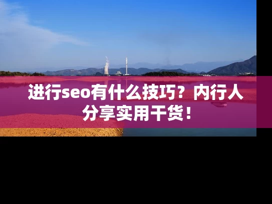 进行seo有什么技巧？内行人分享实用干货！