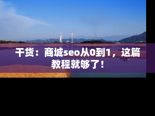 干货：商城seo从0到1，这篇教程就够了！