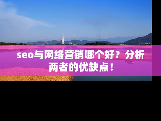 seo与网络营销哪个好？分析两者的优缺点！