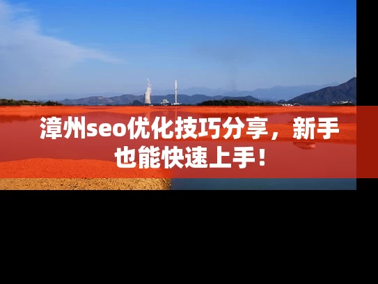漳州seo优化技巧分享，新手也能快速上手！