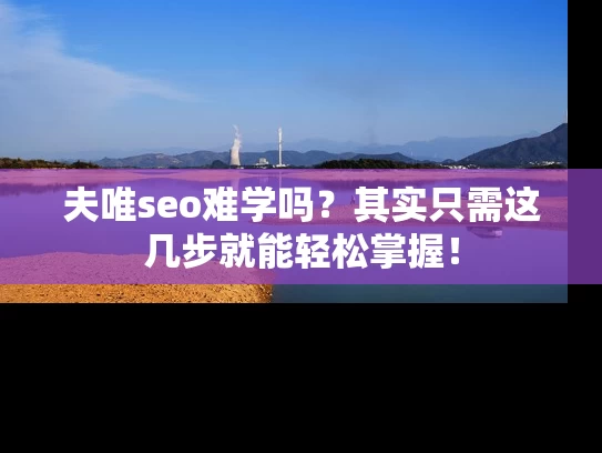 夫唯seo难学吗？其实只需这几步就能轻松掌握！