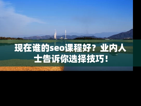 现在谁的seo课程好？业内人士告诉你选择技巧！