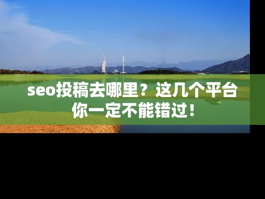 seo投稿去哪里？这几个平台你一定不能错过！