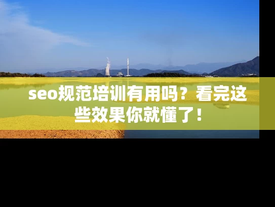 seo规范培训有用吗？看完这些效果你就懂了！
