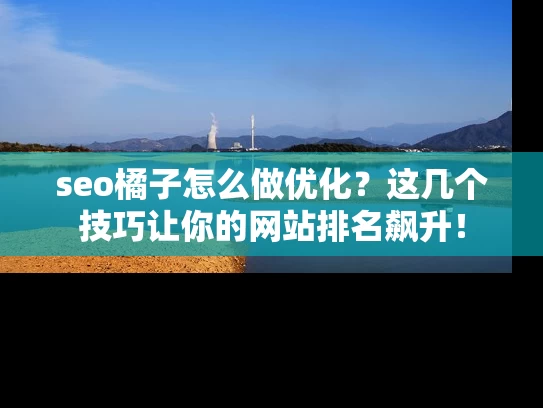 seo橘子怎么做优化？这几个技巧让你的网站排名飙升！