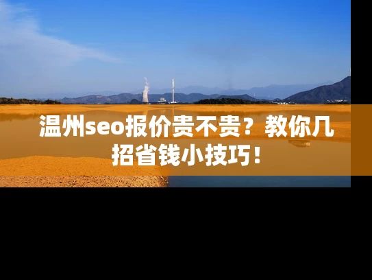 温州seo报价贵不贵？教你几招省钱小技巧！