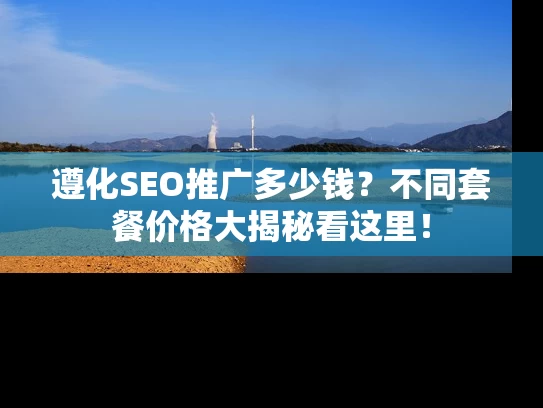 遵化SEO推广多少钱？不同套餐价格大揭秘看这里！
