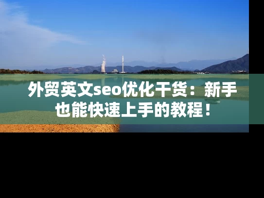 外贸英文seo优化干货：新手也能快速上手的教程！