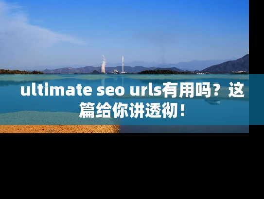 ultimate seo urls有用吗？这篇给你讲透彻！