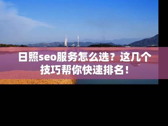 日照seo服务怎么选？这几个技巧帮你快速排名！