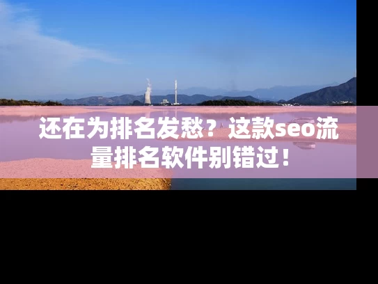 还在为排名发愁？这款seo流量排名软件别错过！