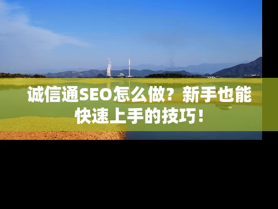 诚信通SEO怎么做？新手也能快速上手的技巧！