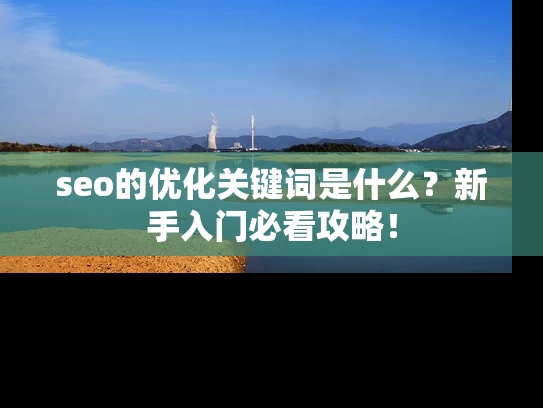seo的优化关键词是什么？新手入门必看攻略！