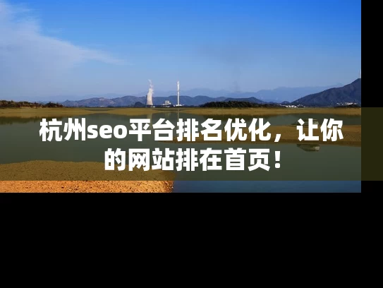 杭州seo平台排名优化，让你的网站排在首页！
