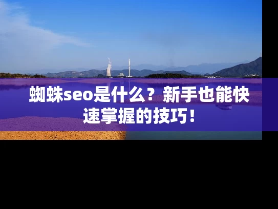 蜘蛛seo是什么？新手也能快速掌握的技巧！