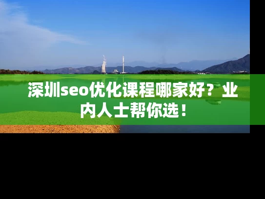 深圳seo优化课程哪家好？业内人士帮你选！