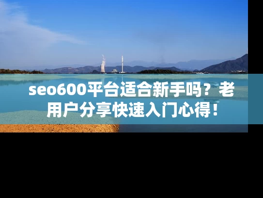 seo600平台适合新手吗？老用户分享快速入门心得！