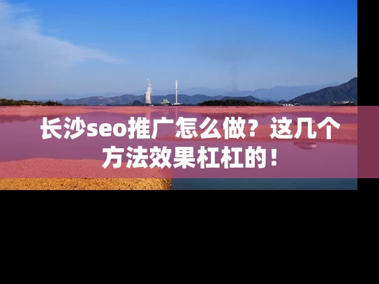 长沙seo推广怎么做？这几个方法效果杠杠的！