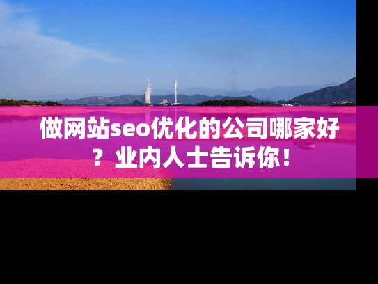 做网站seo优化的公司哪家好？业内人士告诉你！