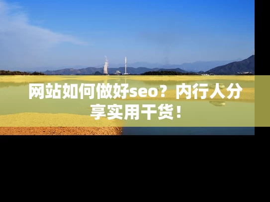 网站如何做好seo？内行人分享实用干货！