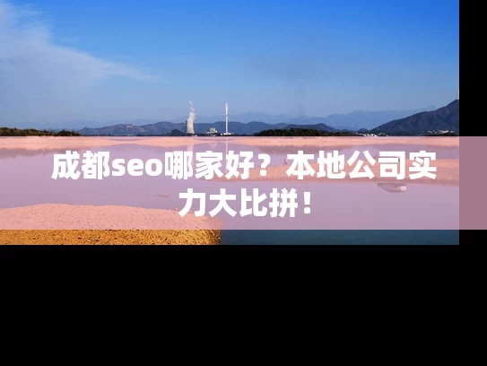 成都seo哪家好？本地公司实力大比拼！