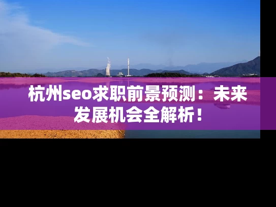杭州seo求职前景预测：未来发展机会全解析！