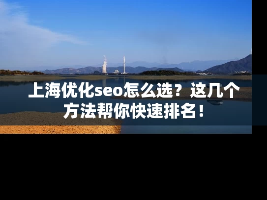 上海优化seo怎么选？这几个方法帮你快速排名！
