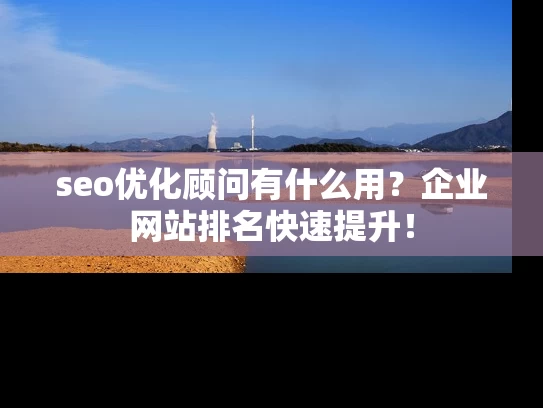 seo优化顾问有什么用？企业网站排名快速提升！