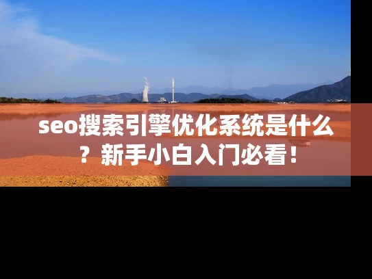 seo搜索引擎优化系统是什么？新手小白入门必看！