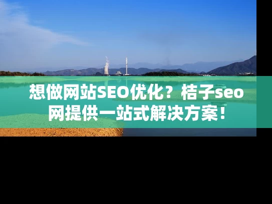 想做网站SEO优化？桔子seo网提供一站式解决方案！