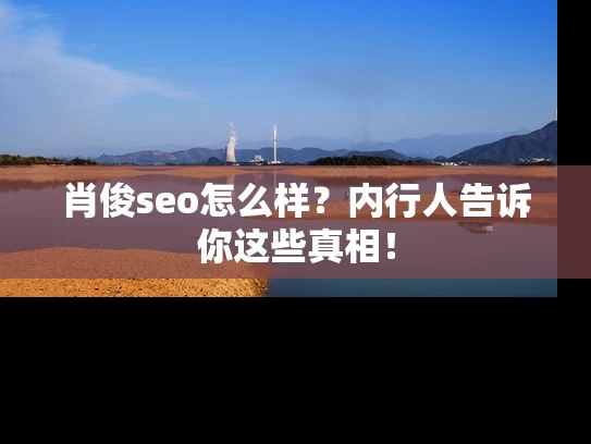 肖俊seo怎么样？内行人告诉你这些真相！