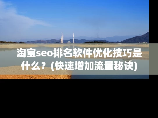 淘宝seo排名软件优化技巧是什么？(快速增加流量秘诀)