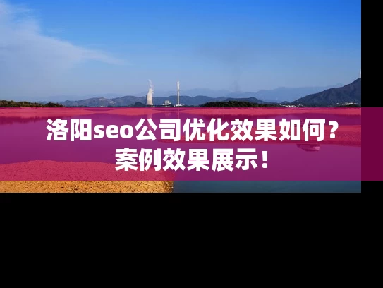 洛阳seo公司优化效果如何？案例效果展示！