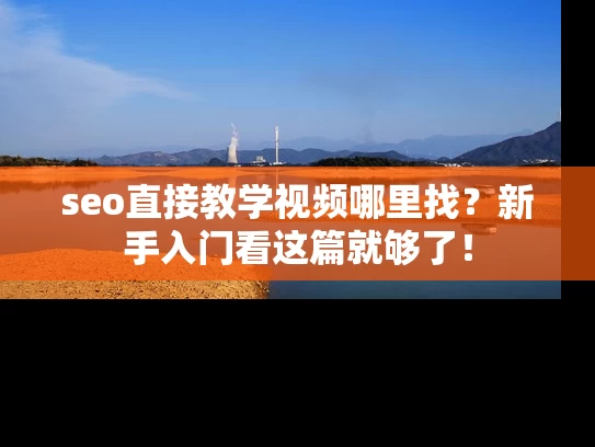 seo直接教学视频哪里找？新手入门看这篇就够了！