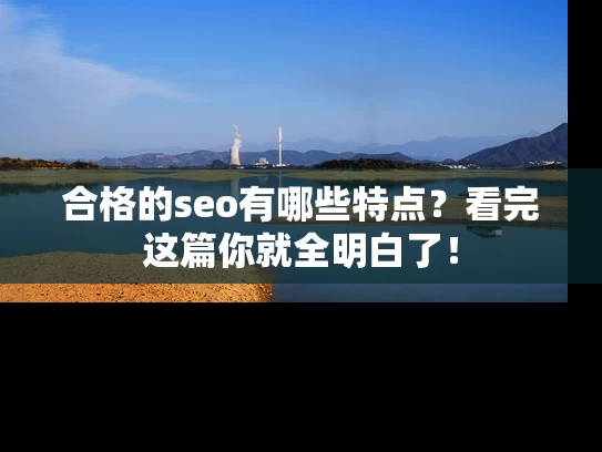 合格的seo有哪些特点？看完这篇你就全明白了！