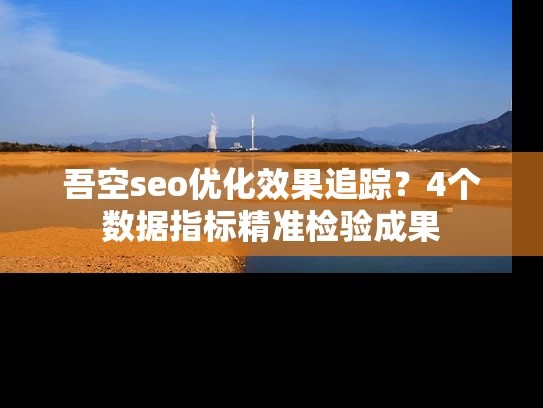 吾空seo优化效果追踪？4个数据指标精准检验成果