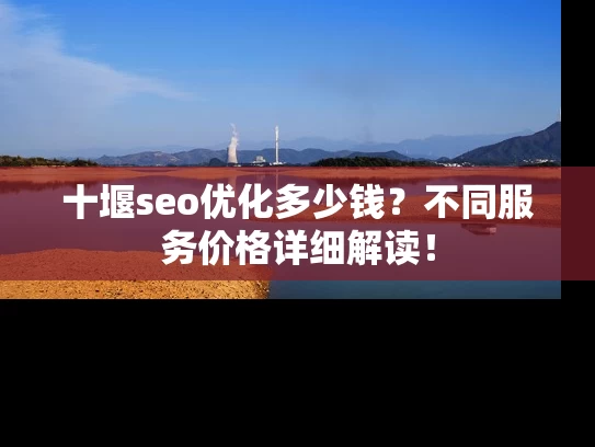 十堰seo优化多少钱？不同服务价格详细解读！