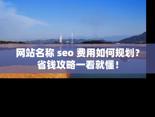 网站名称 seo 费用如何规划？省钱攻略一看就懂！