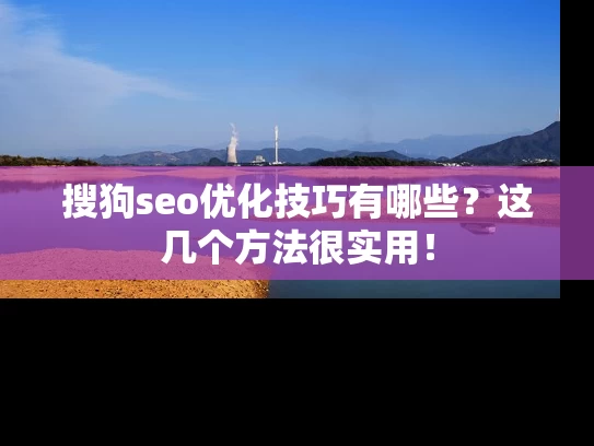 搜狗seo优化技巧有哪些？这几个方法很实用！