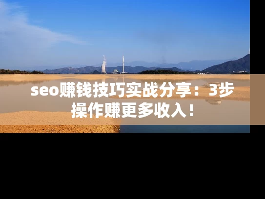 seo赚钱技巧实战分享：3步操作赚更多收入！