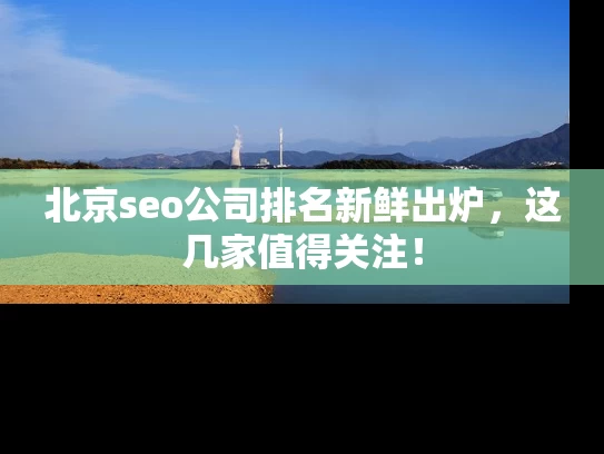 北京seo公司排名新鲜出炉，这几家值得关注！