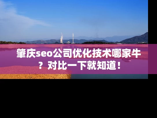 肇庆seo公司优化技术哪家牛？对比一下就知道！